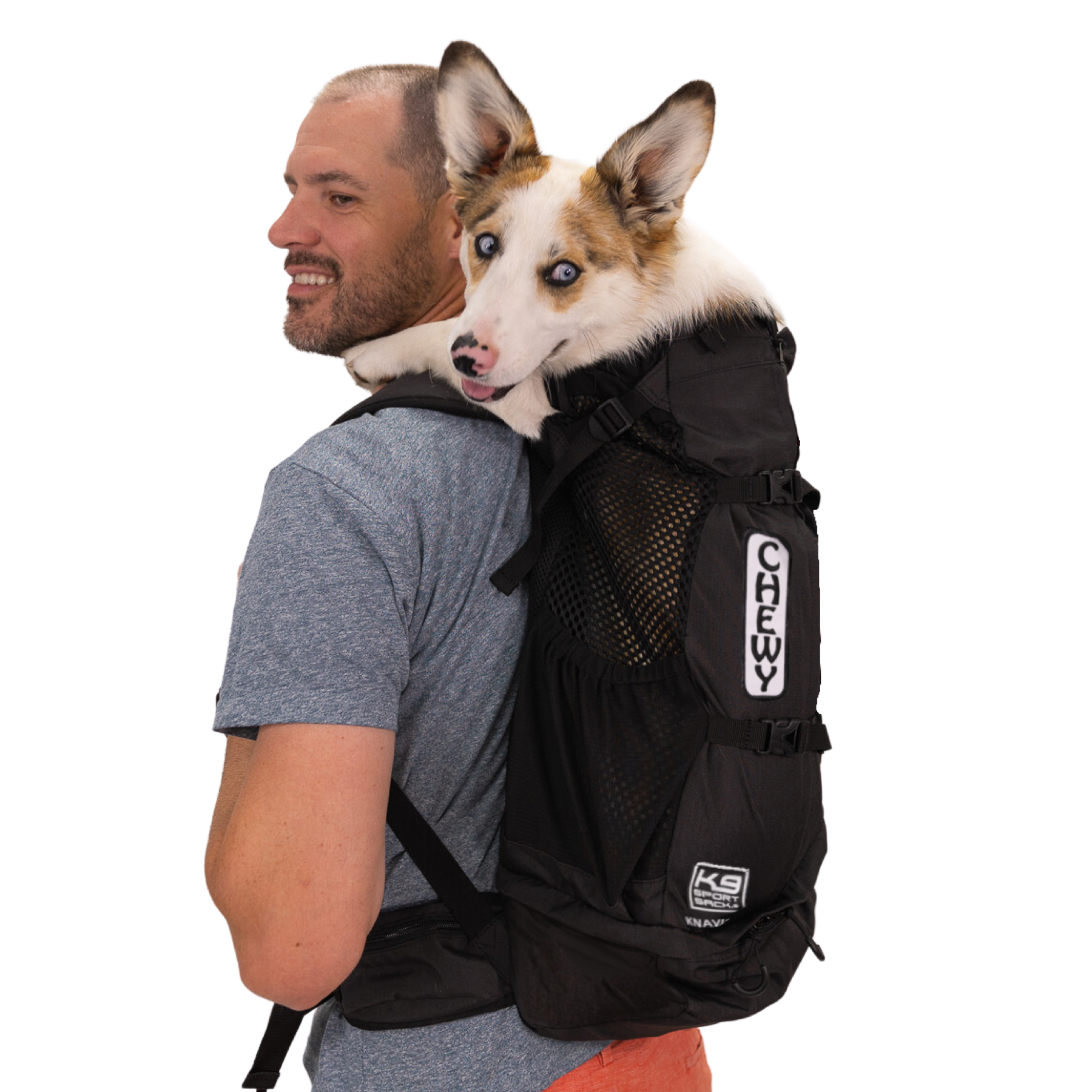 購入 K9 ブラック キャリーバッグ K9 スポーツサック 犬用 購入 K9 ブラック キャリーバッグ K9 スポーツサック 犬用