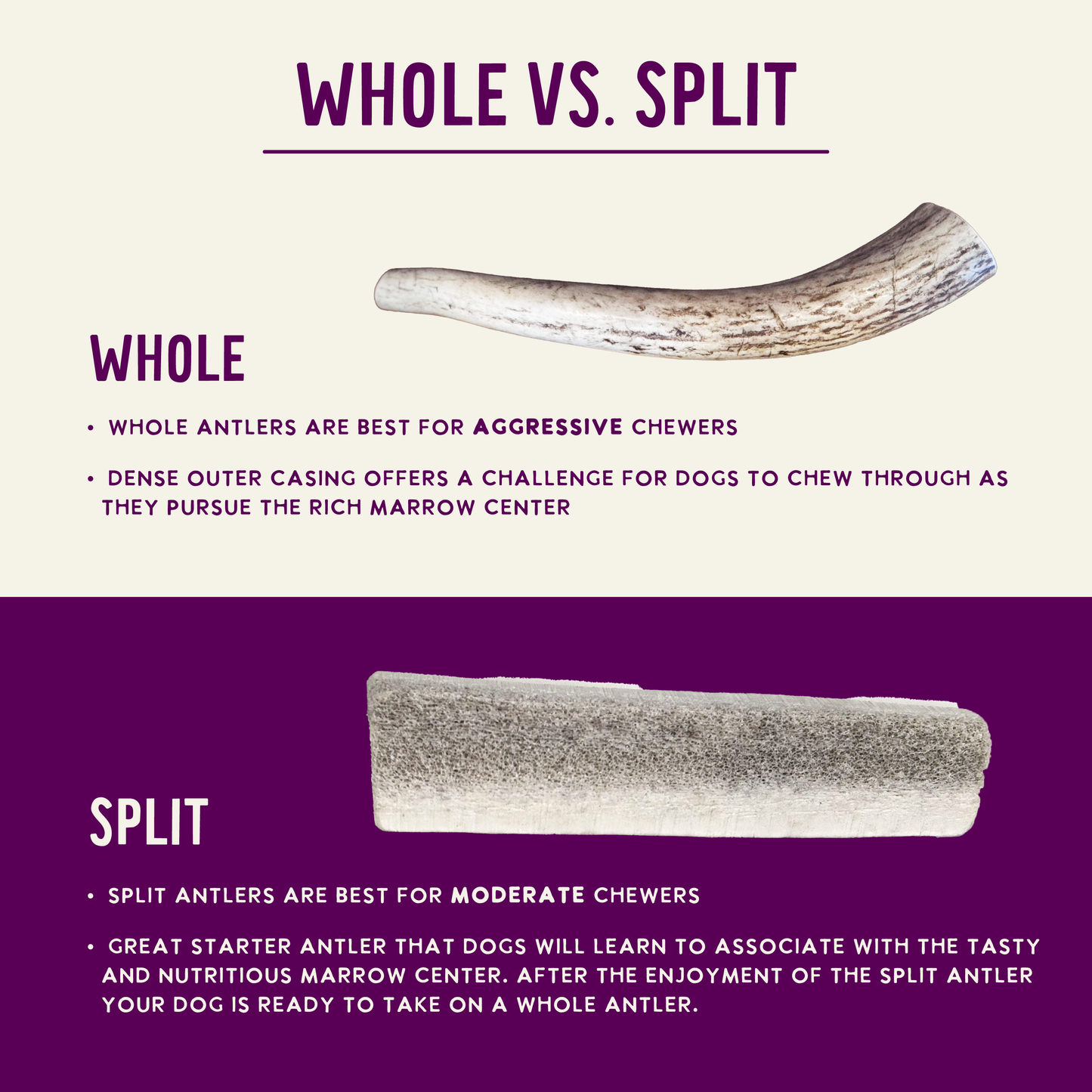 Natural Elk Antlers - Whole