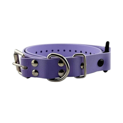 E-Collar Technologies 1" Bungee Collar Strap (33" Length)