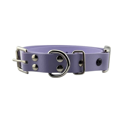 E-Collar Technologies 1" Quick Snap Biothane Collar Strap
