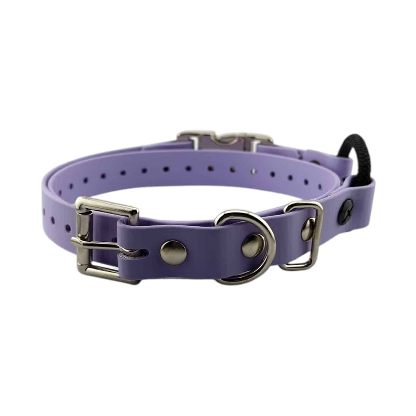 E-Collar Technologies 3/4" Quick-Snap Bungee Collar Strap