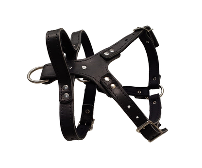 Genuine Leather Harness