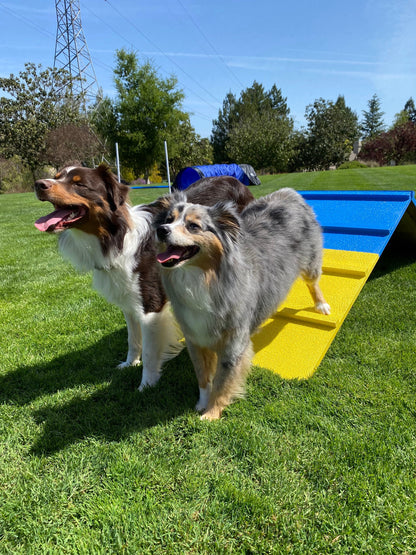 Better Sporting Dogs Dog Agility A-Frame – Arrives Fully Assembled