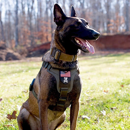 Kiloniner  K9R - M1 LightSpeed Harness Large