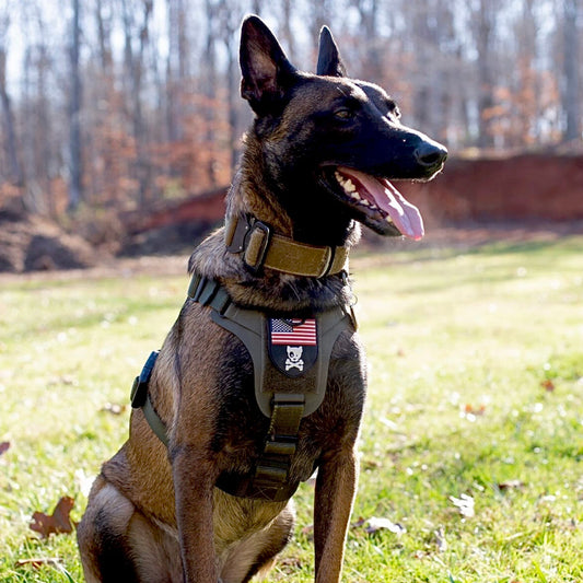 Kiloniner  K9R - M1 LightSpeed Harness Large