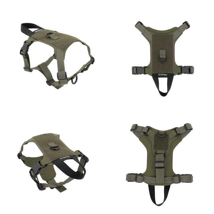 Kiloniner K9R - M1 LightSpeed Harness