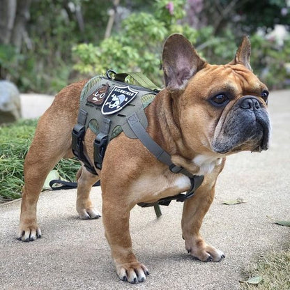 Kiloniner  K9R - M4 Tactical MOLLE Vest