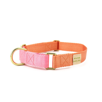 martingale collar / peach + pink