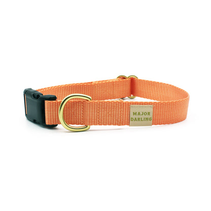 basic snap collar