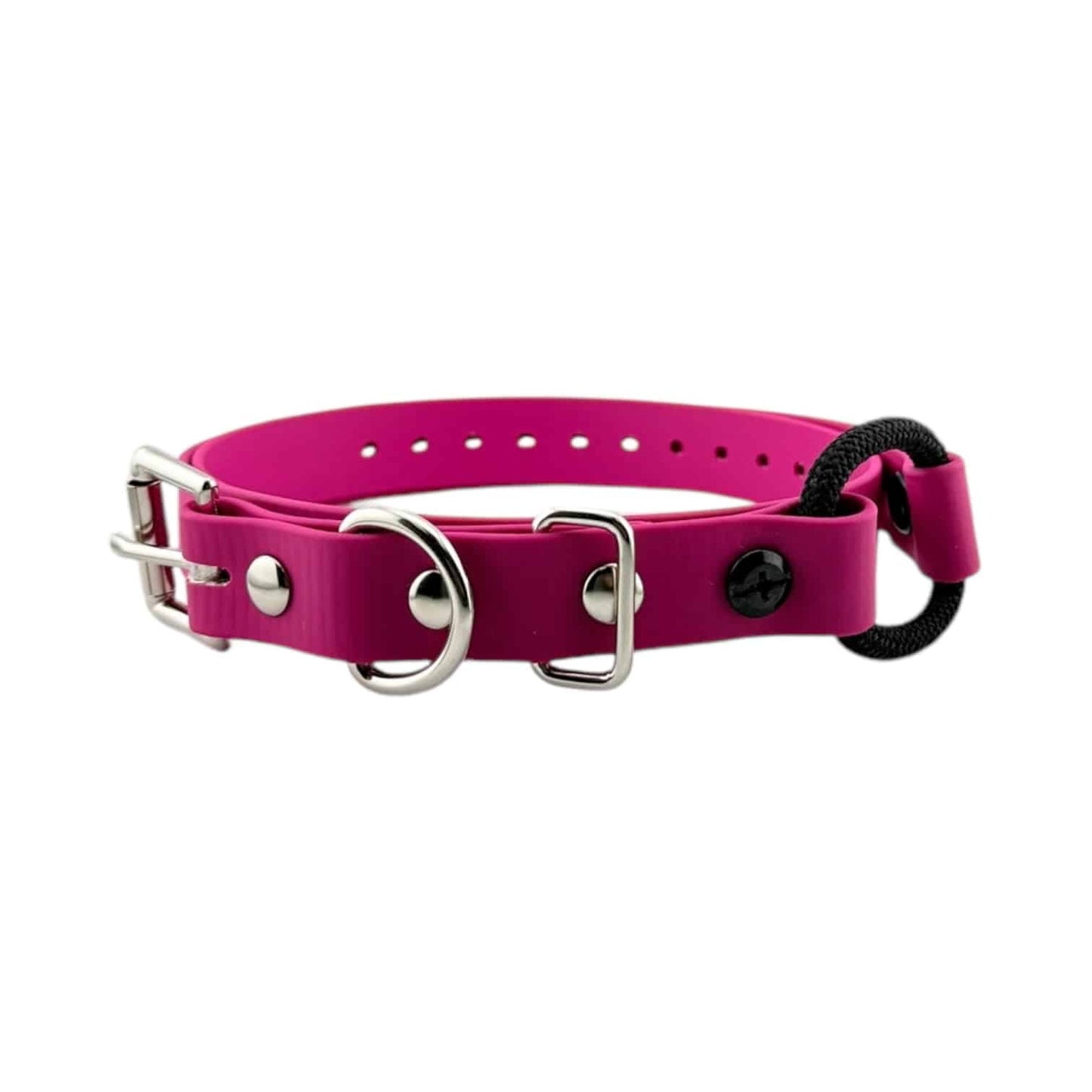 E-Collar Technologies 3/4" Bungee Collar Strap (33" Length)