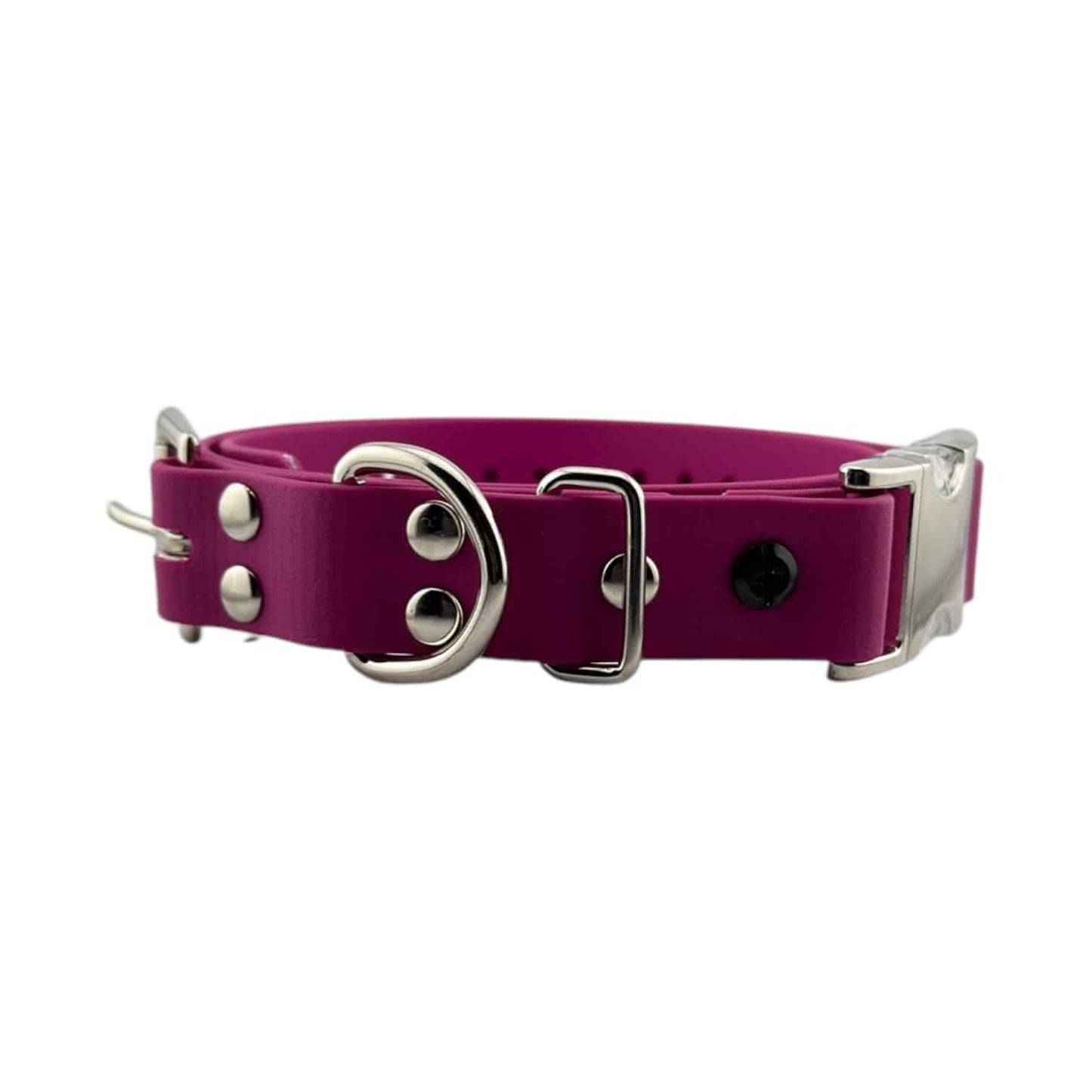 E-Collar Technologies 1" Quick Snap Biothane Collar Strap