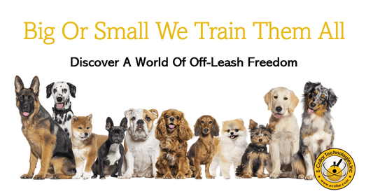 BIG OR SMALL MULTI DOG BANNER 3X5