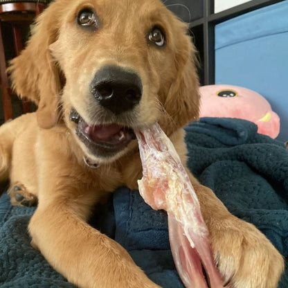 Bully Bunches Beef Tendon
