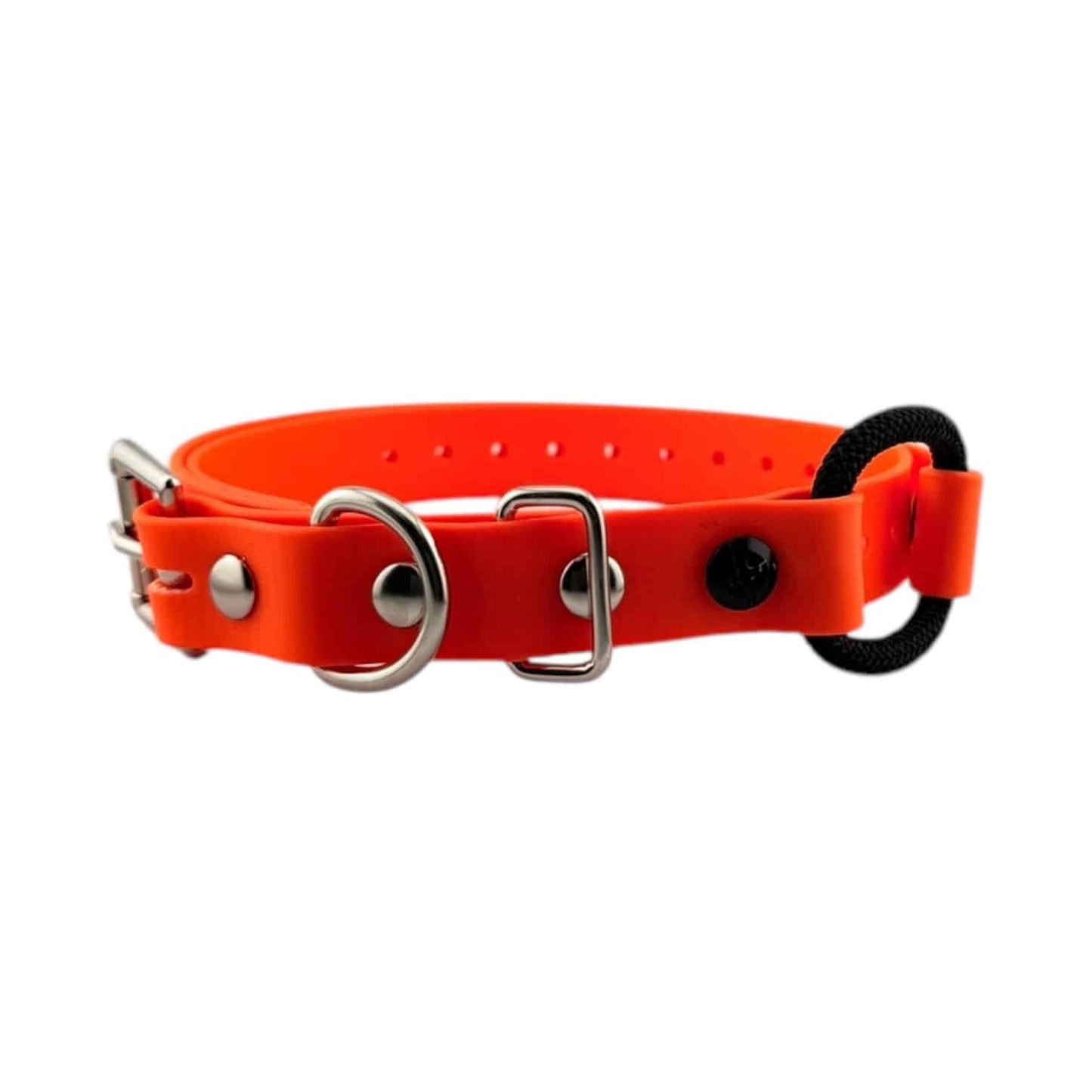 E-Collar Technologies 3/4" Bungee Collar Strap (33" Length)