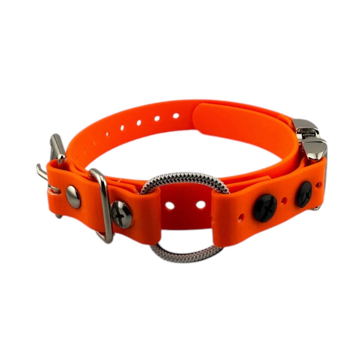E-Collar Technologies 3/4" Quick Snap Mini Bungee Collar Strap for Small Dogs