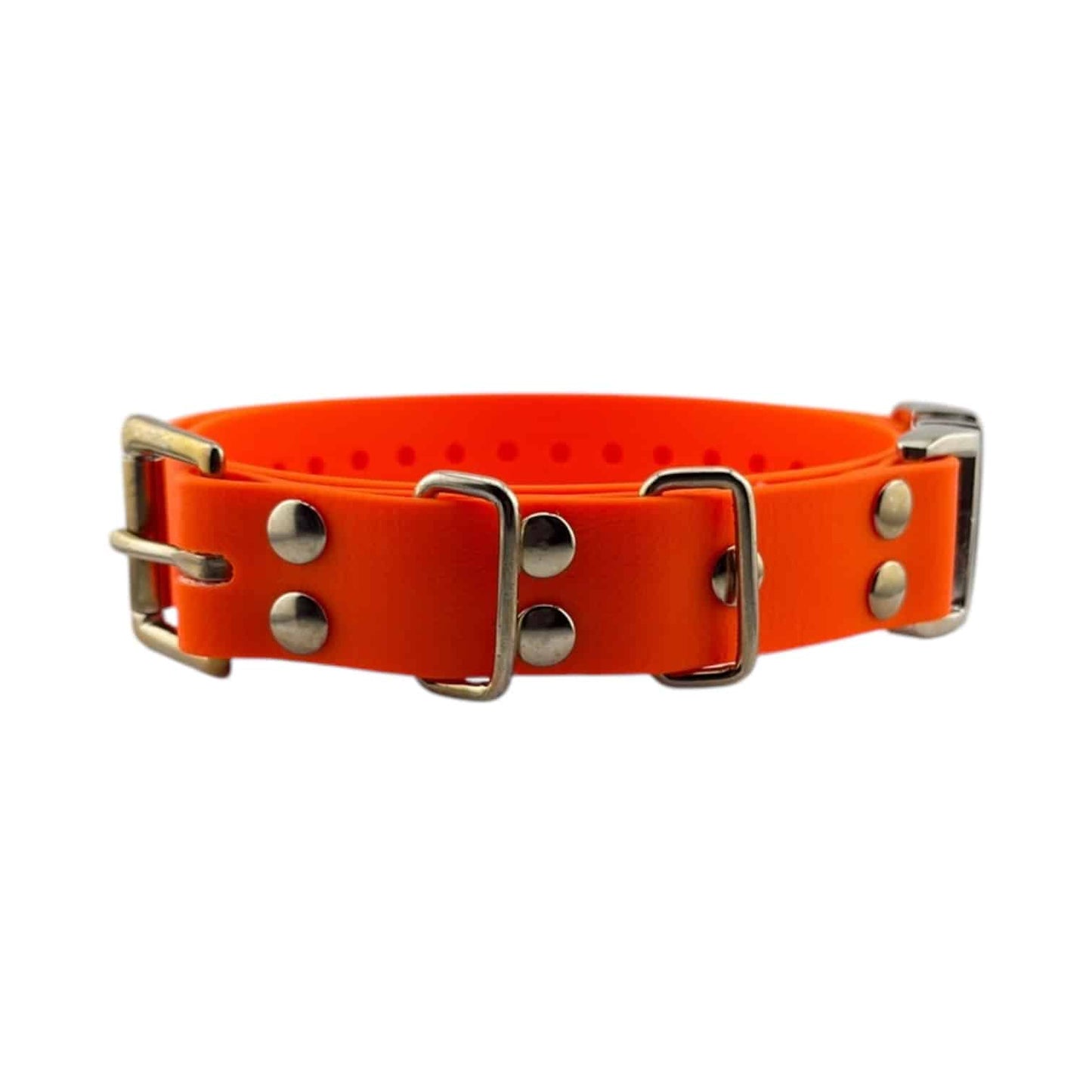 E-Collar Technologies 1" Quick Snap Biothane Collar Strap