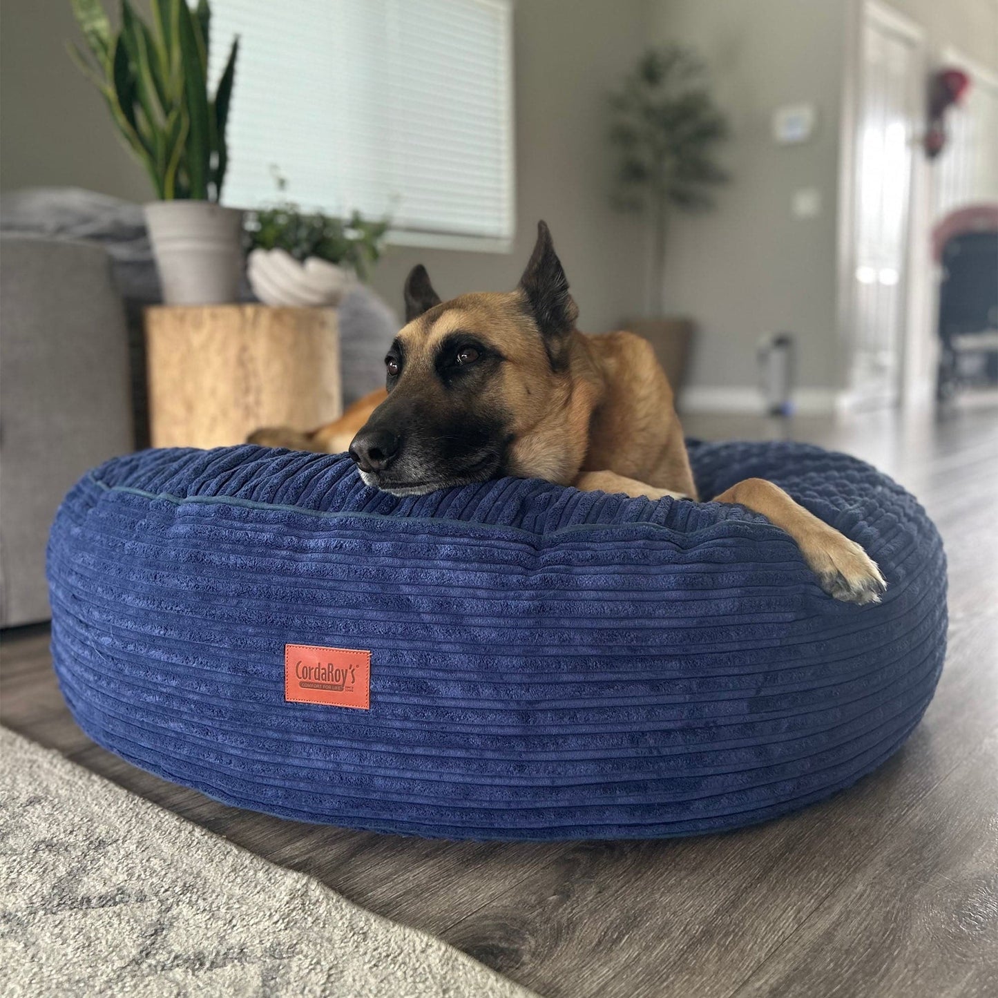 Cordaroy's  Inch Forever Dog Beds (Waterproof) - Terry Corduroy