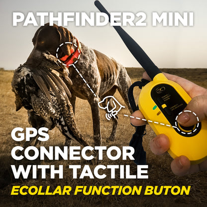 Dogtra Pathfinder2 Mini