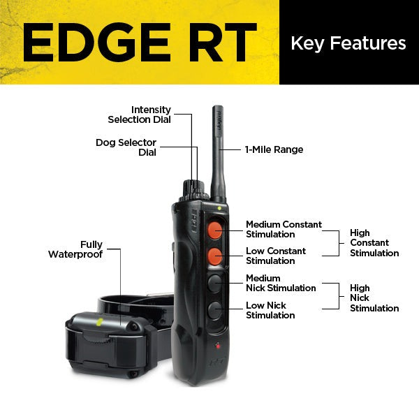 Dogtra EDGE RT