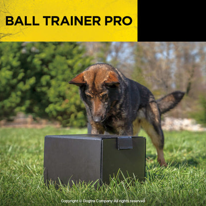 Dogtra Ball Trainer Pro