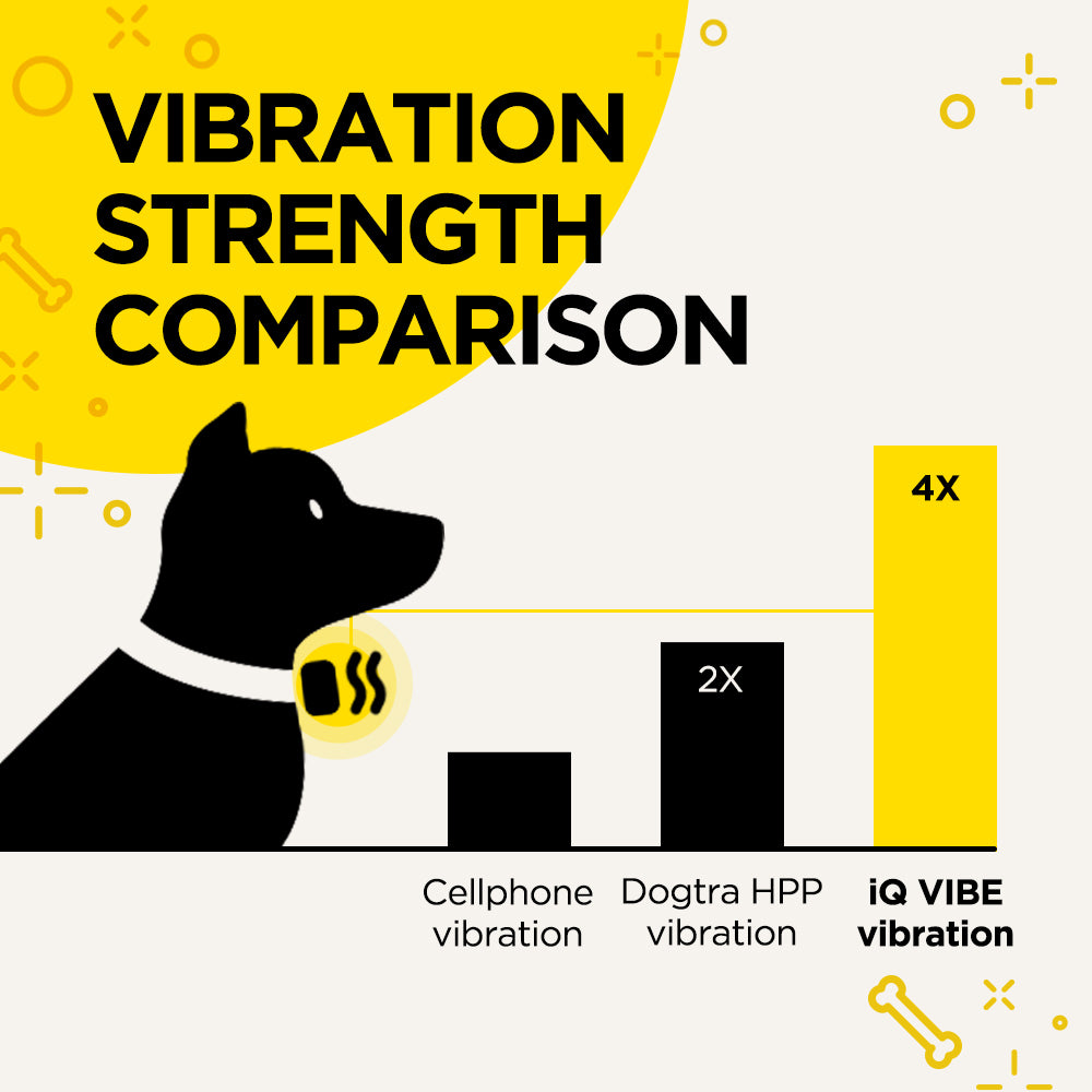 Dogtra IQ VIBE