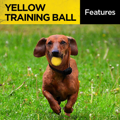 Dogtra Yellow Training Ball