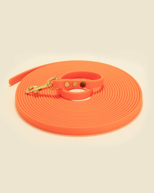 Pointer Traditions 30' Training Check Cord - Blaze Orange