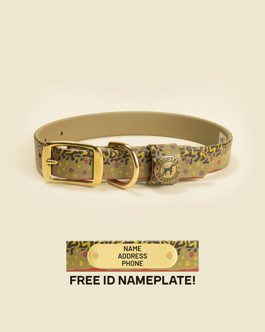 Pointer Traditions Sporting Dog Collar - Brook Trout