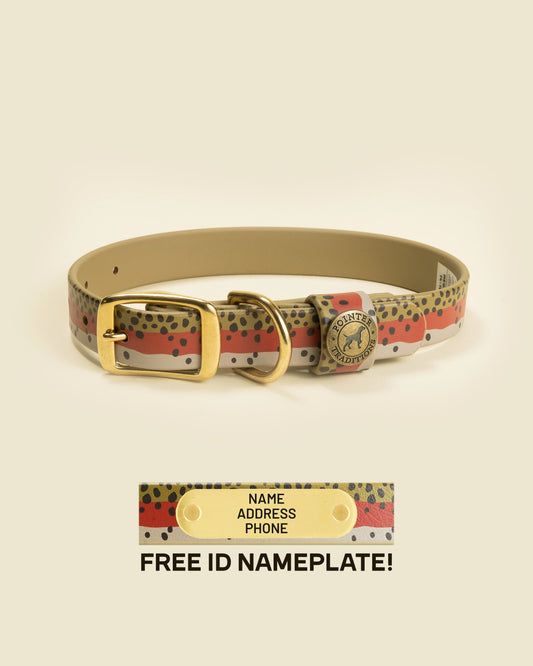 Pointer Traditions Sporting Dog Collar - Rainbow Trout