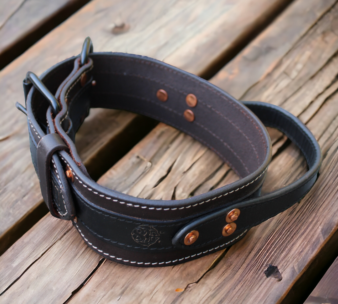 SkollHati 2" Dark Leather Agitation Collar with handle