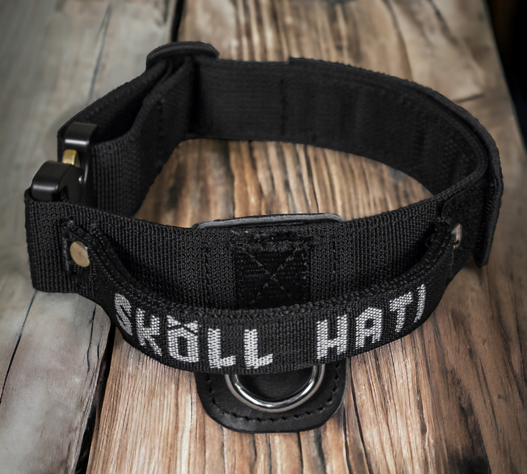 SkollHati Nylon Id Collar w/ Cobra Buckle