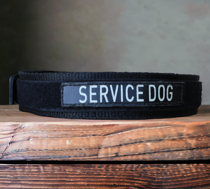 SkollHati Nylon ID Collar with Magnetic Buckle