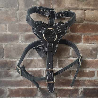 Brown Bear Leather Agitation Harness