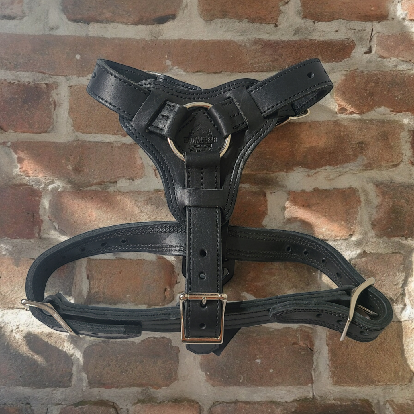 Brown Bear Leather Agitation Harness