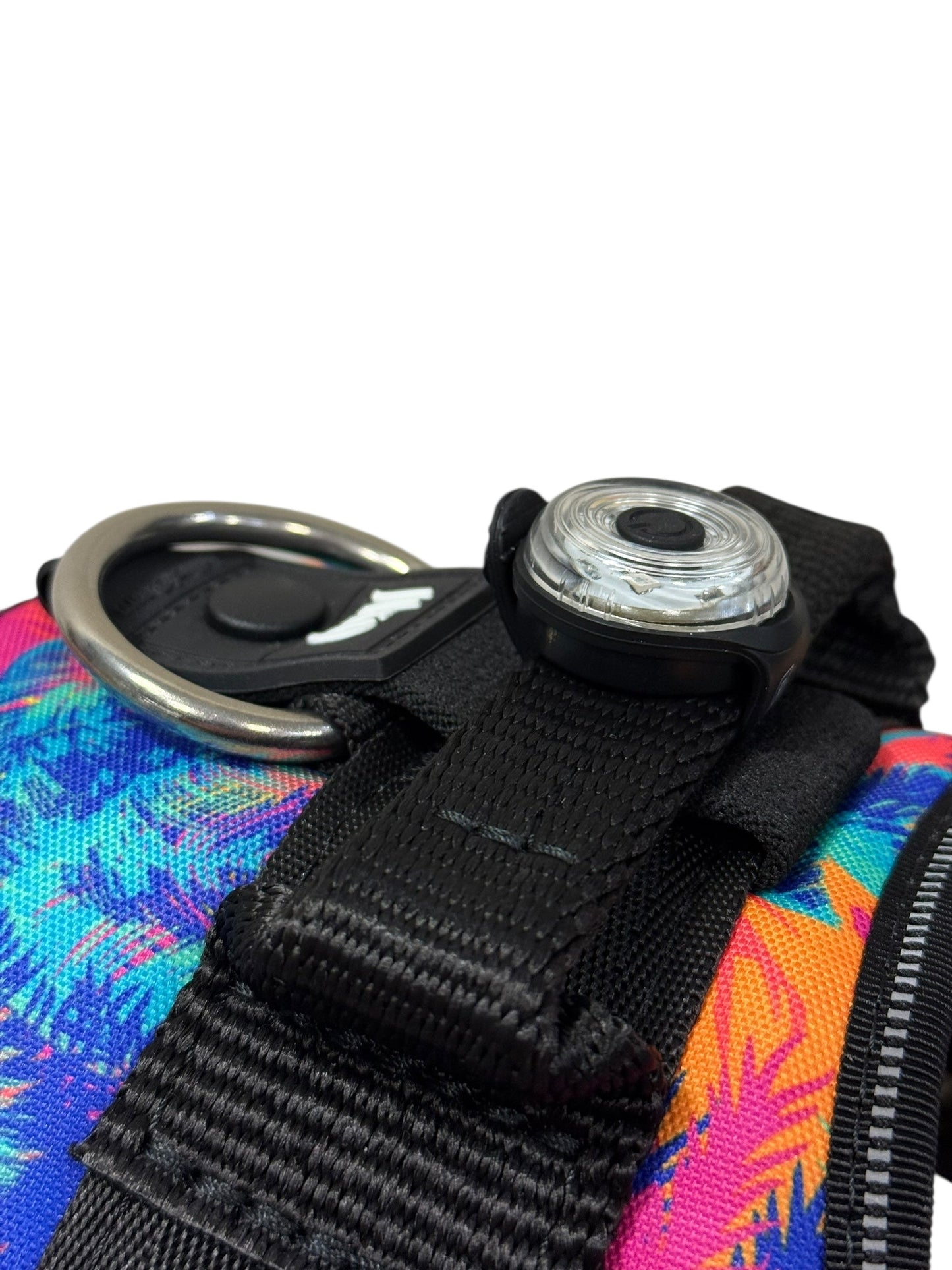 LED Pet Safety Light