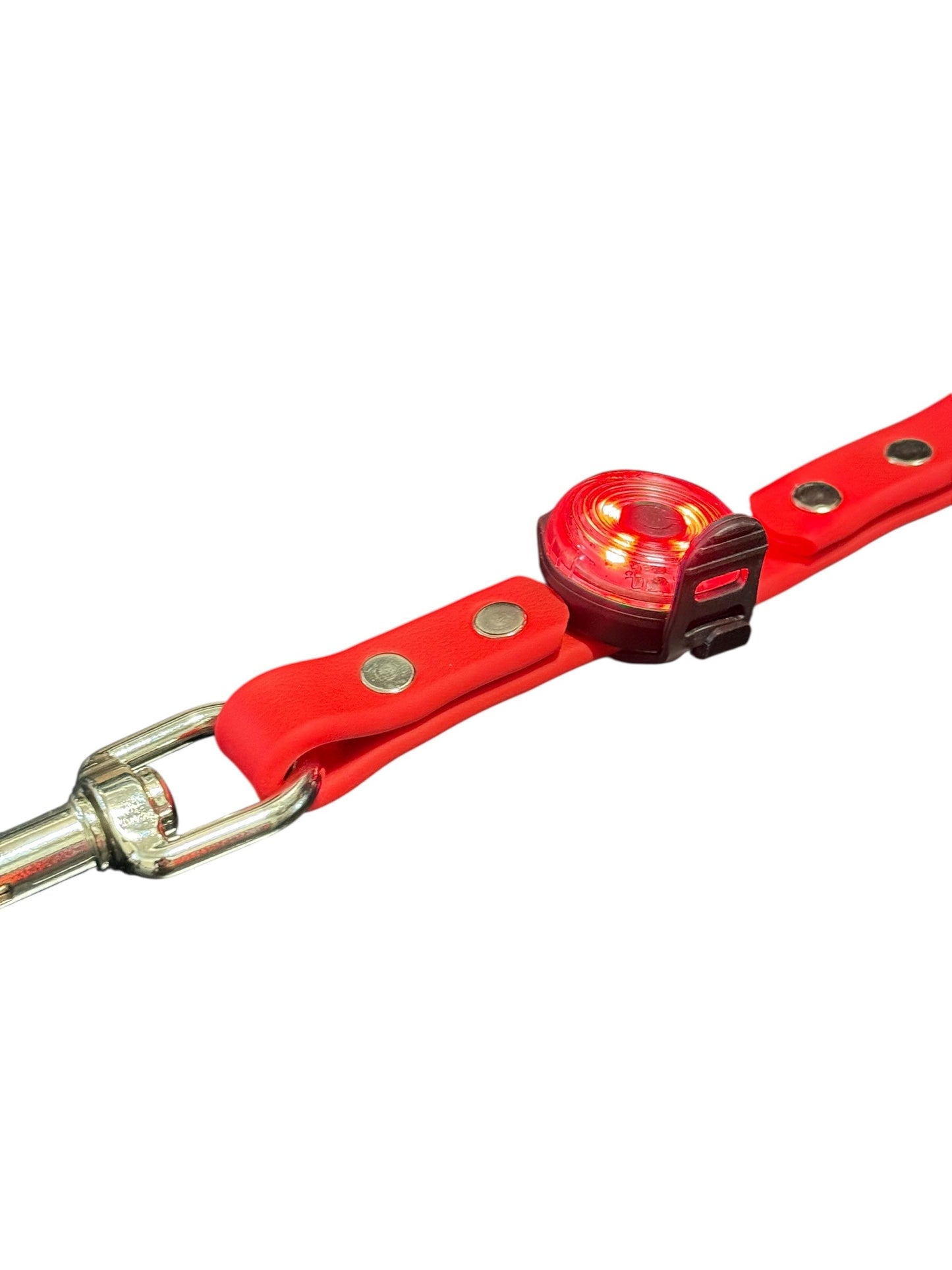 LED Pet Safety Light