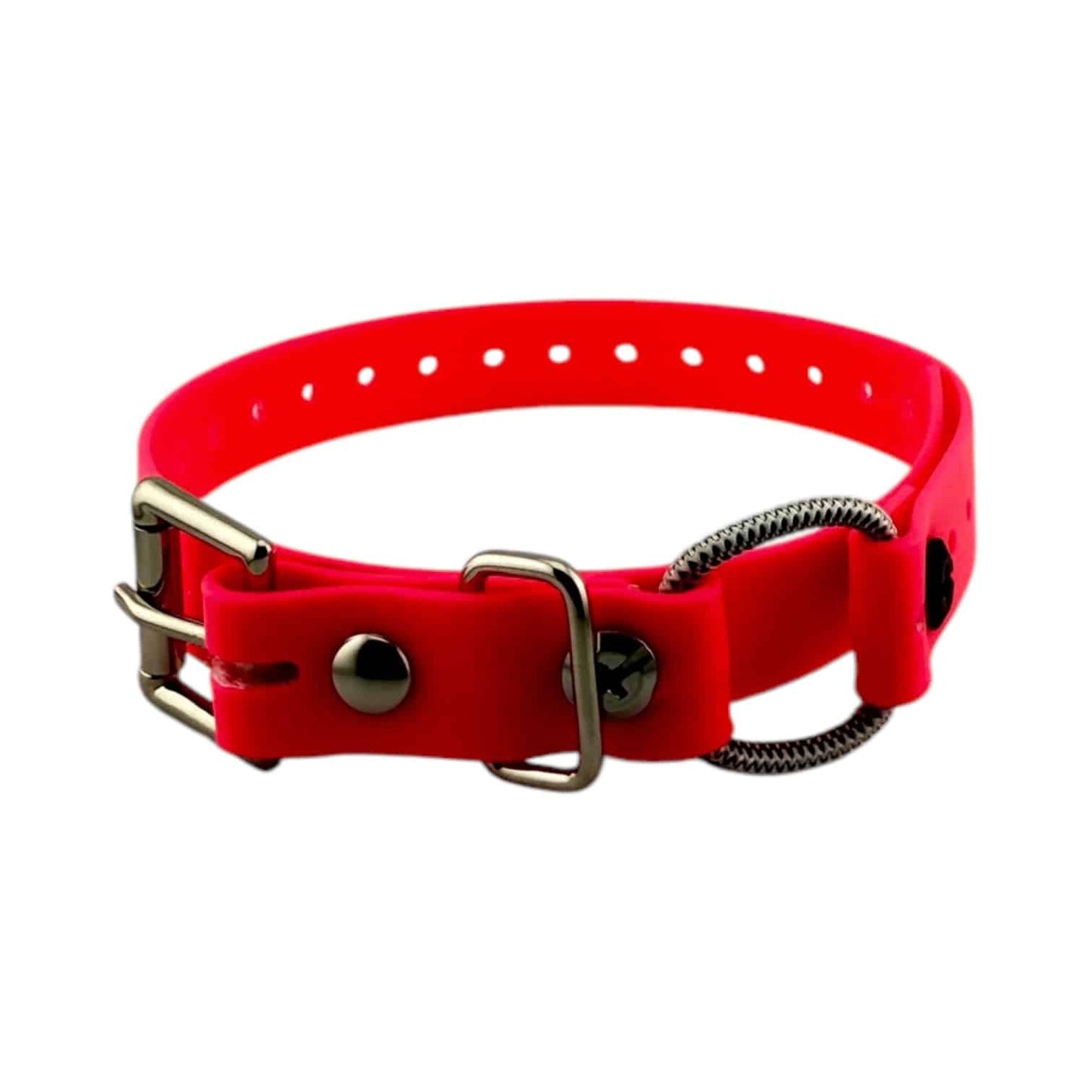 E-Collar Technologies 3/4" Mini Bungee Collar Strap for Small Dogs