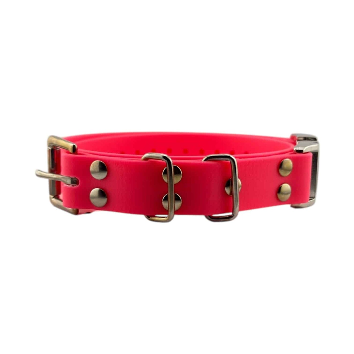 E-Collar Technologies 1" Quick Snap Biothane Collar Strap