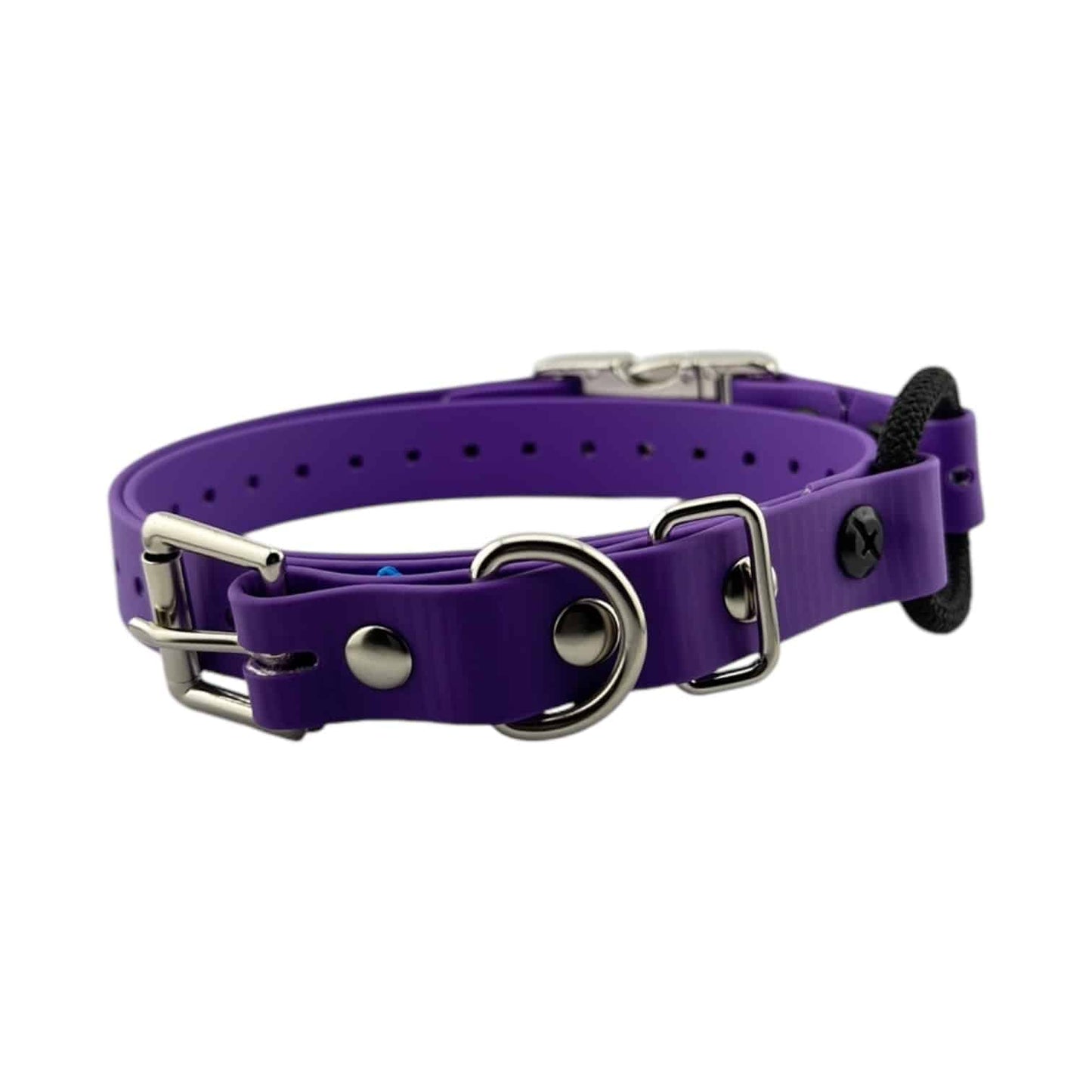 E-Collar Technologies 3/4" Quick-Snap Bungee Collar Strap