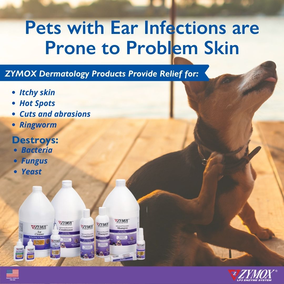 ZYMOX Advanced Enzymatic Conditioner