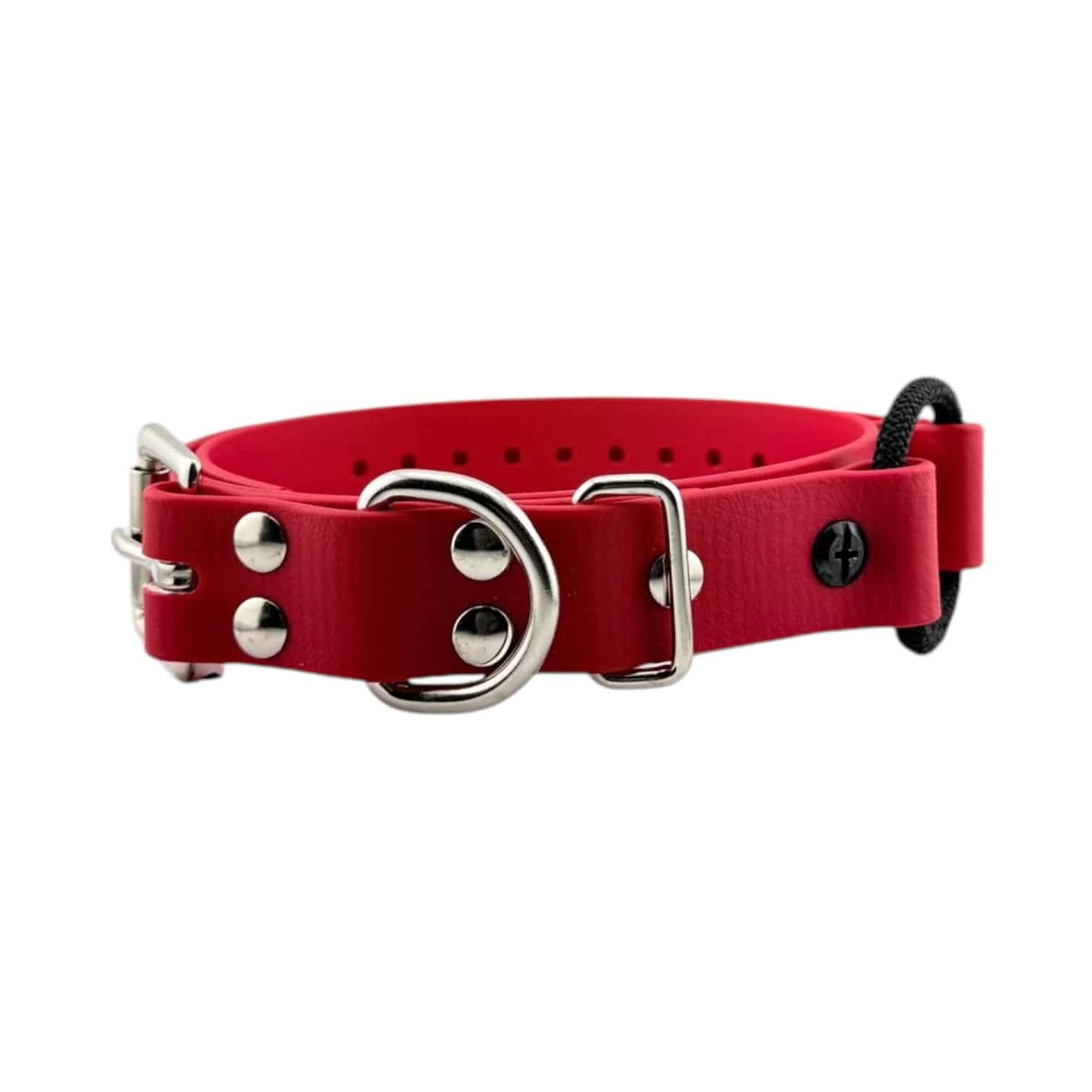 E-Collar Technologies 1" Bungee Collar Strap (33" Length)
