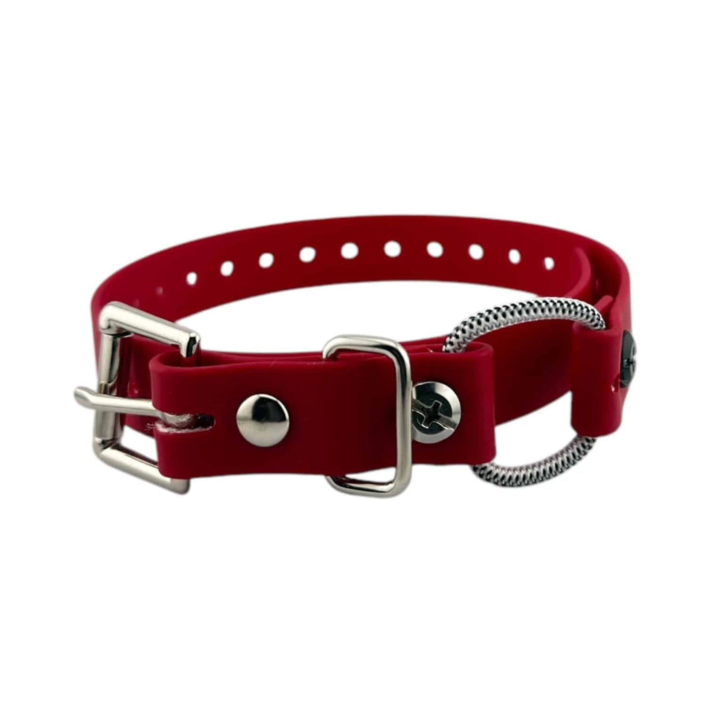 E-Collar Technologies 3/4" Mini Bungee Collar Strap for Small Dogs
