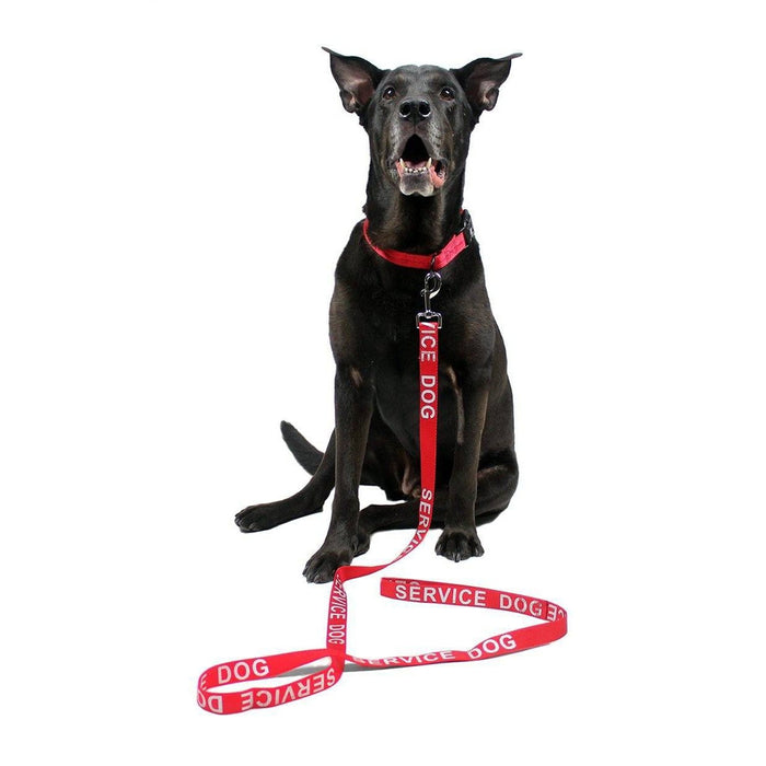 Dogline Reflective Nylon Leash