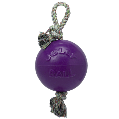 Jolly Pets Romp-n-Roll