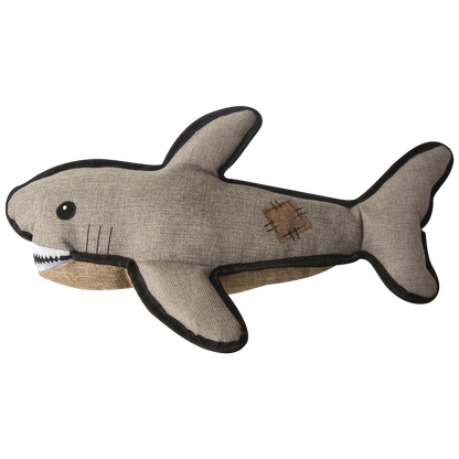 Saul the Shark