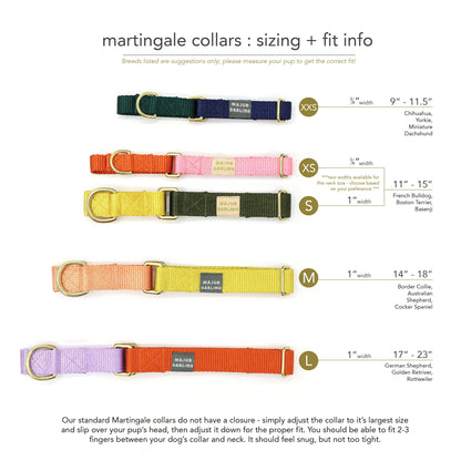 martingale collar / orange + lilac