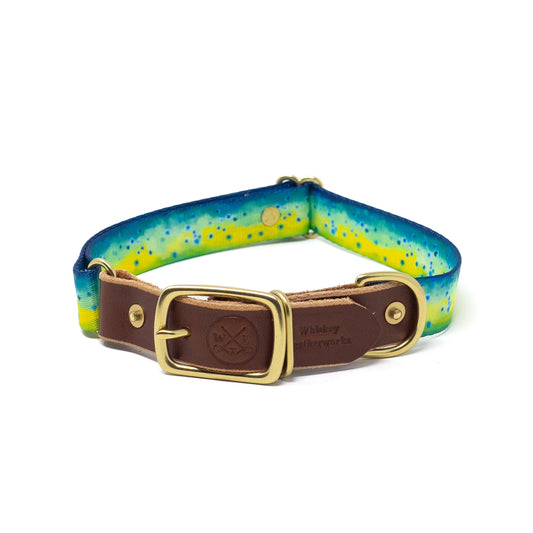 Whiskey Leather Works Water Dogs '25 Collars