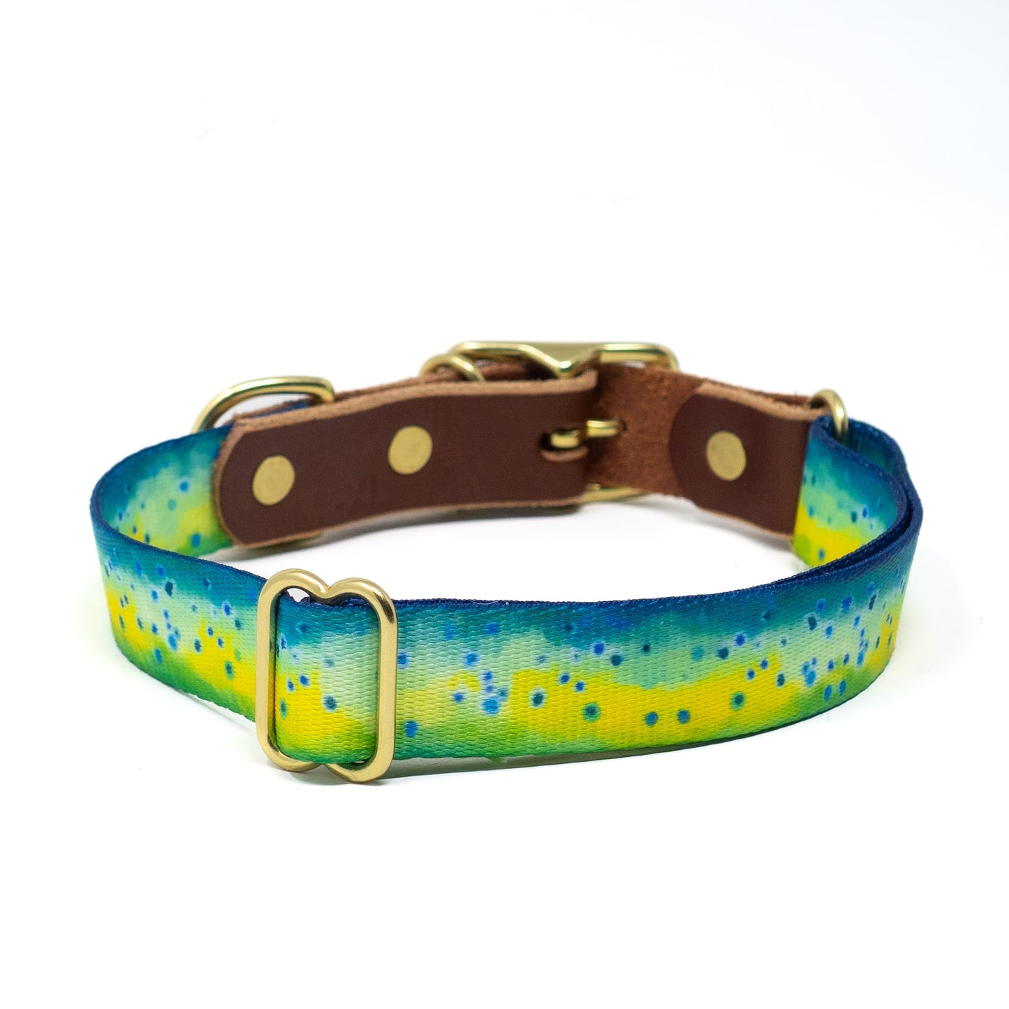 Whiskey Leather Works Saltwater Dog Collars