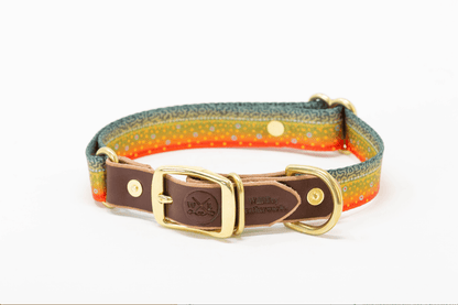 Whiskey Leather Works Freshwater Dog Collars