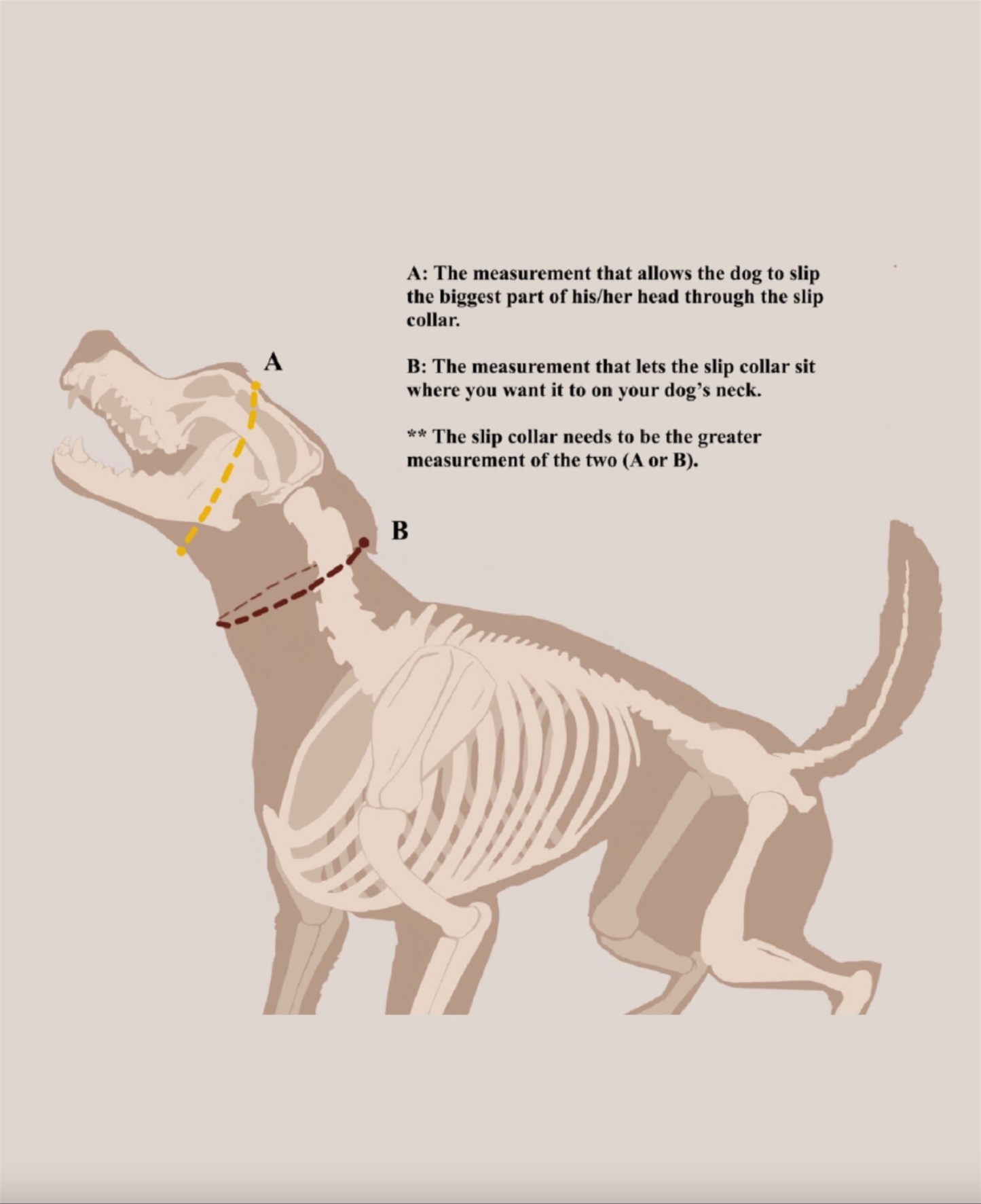 The Golden Ranch Leather Slip Collar